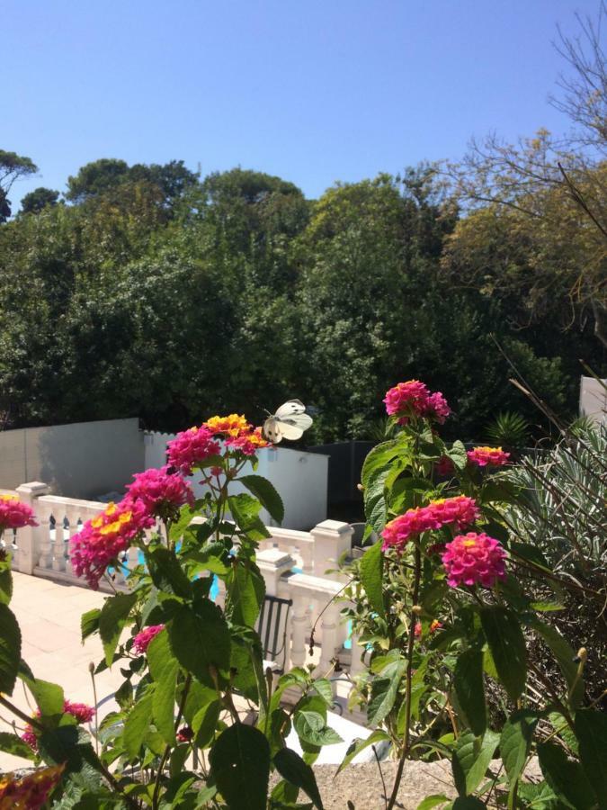 La Maisonnette Du Clos * La Roquette-sur-Siagne